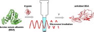 Can electromagnetic fields influence the structure and enzymatic digest of proteins? A critical evaluation of microwave-assisted proteomics protocols